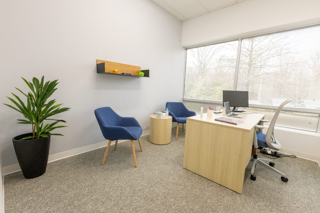 Columbia Mental Health - Bowie, MD therapy room
